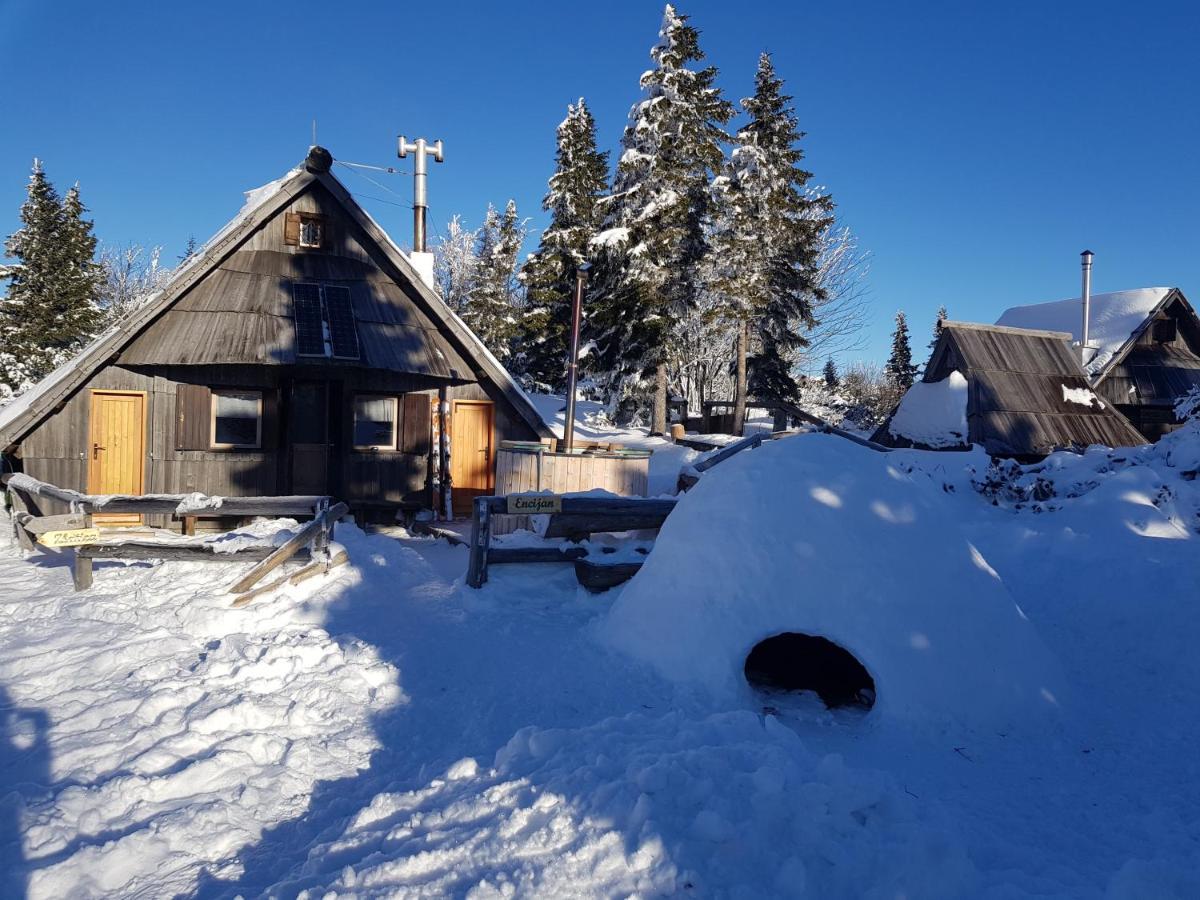 Chalet Encijan - Velika Planina Villa Stahovica Dış mekan fotoğraf