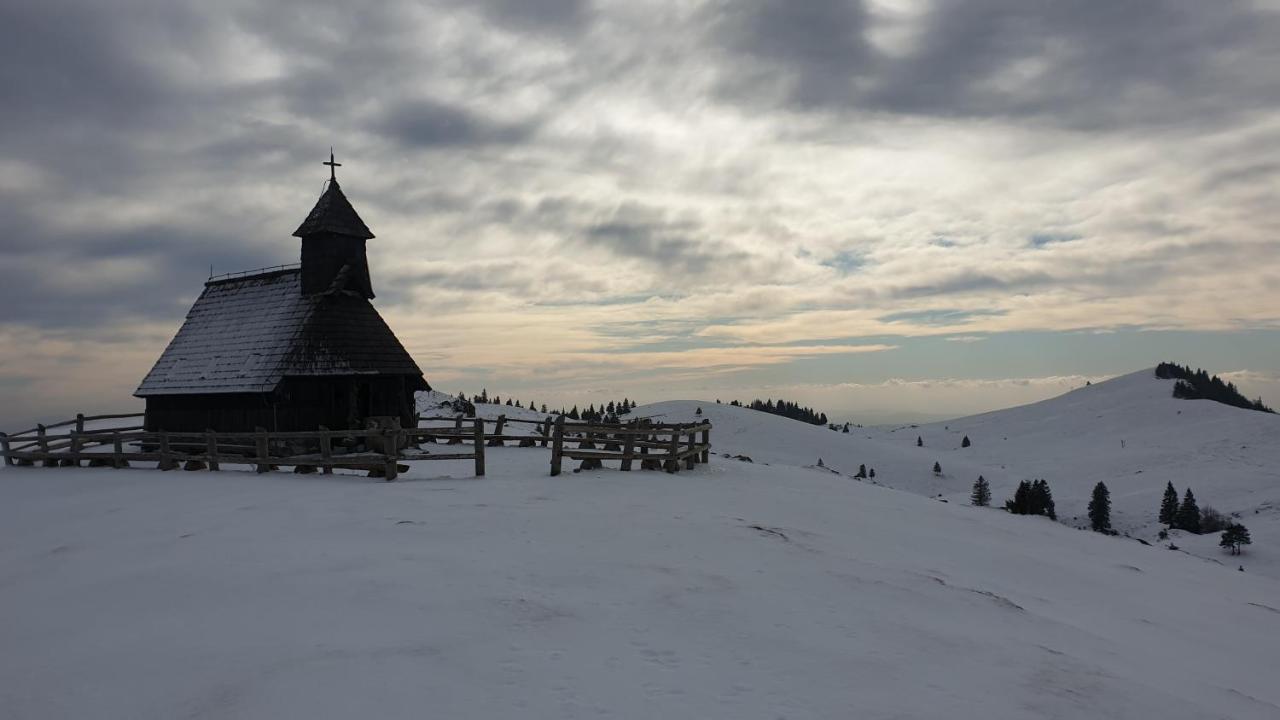 Chalet Encijan - Velika Planina Villa Stahovica Dış mekan fotoğraf