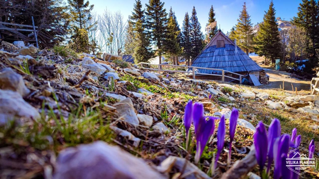 Chalet Encijan - Velika Planina Villa Stahovica Dış mekan fotoğraf